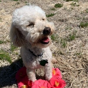 Meet your Posher, Jade